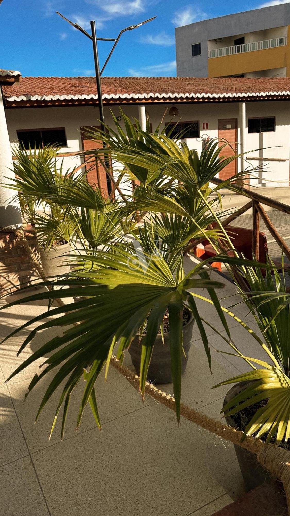 Village Comfort Hotel Caninde de Sao Francisco Exterior photo